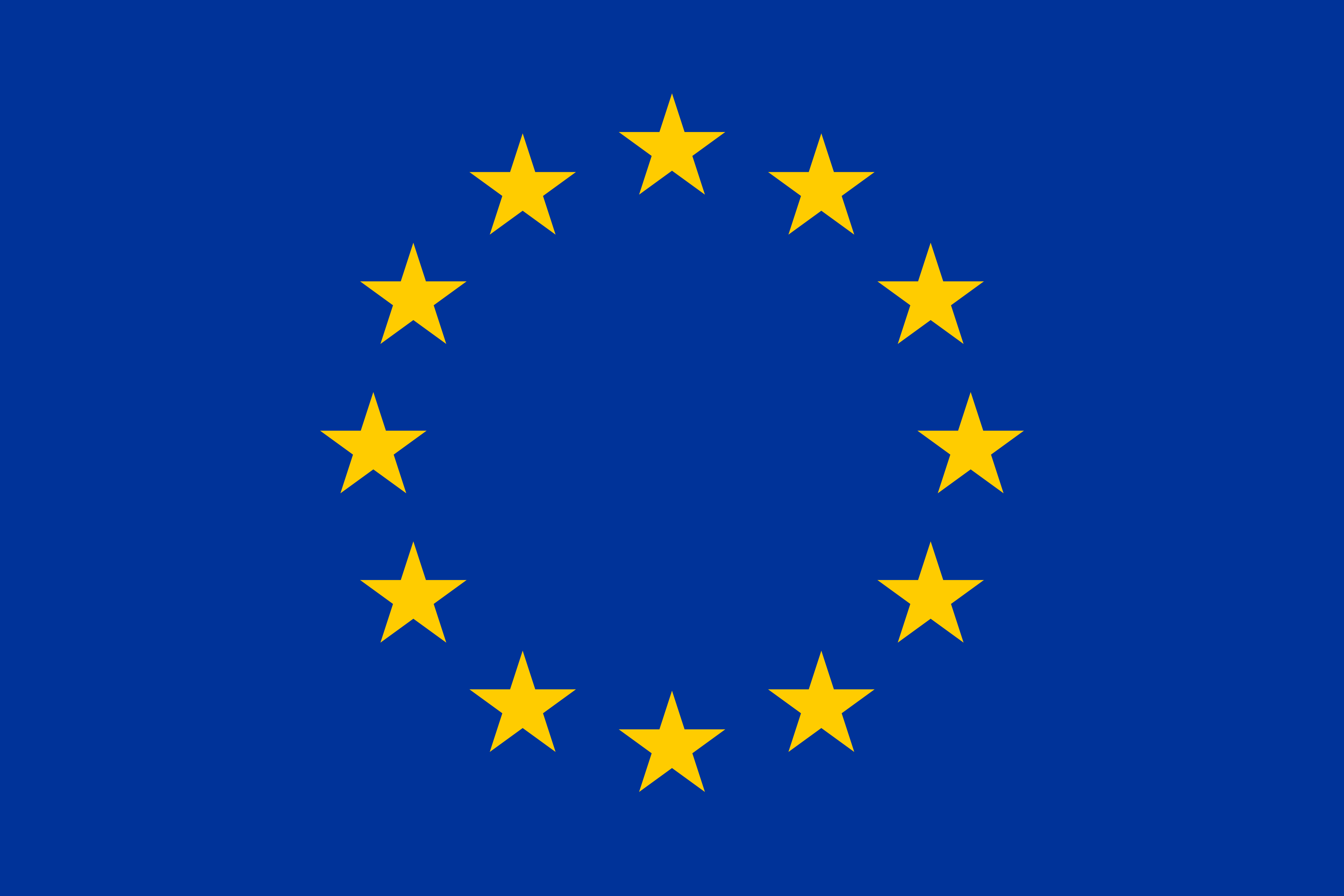 European Union flag